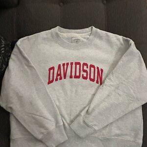 Gray Davidson Men's Sweater